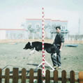 ҐӖҕl02